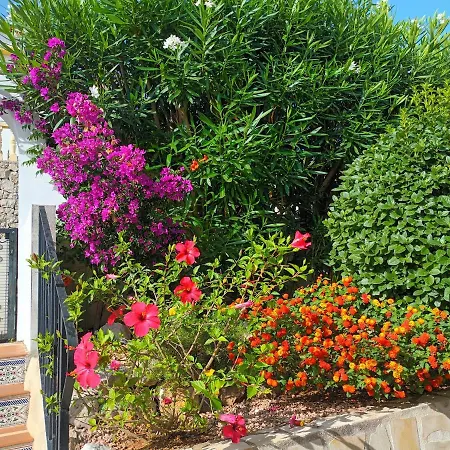 Appartement Casa Jacaranda Orba